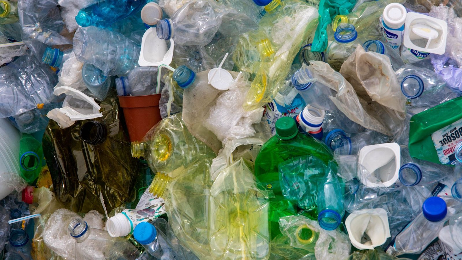 Impacto del reciclaje de plástico en el medio ambiente
